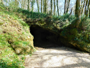 DSCN2285.JPG
