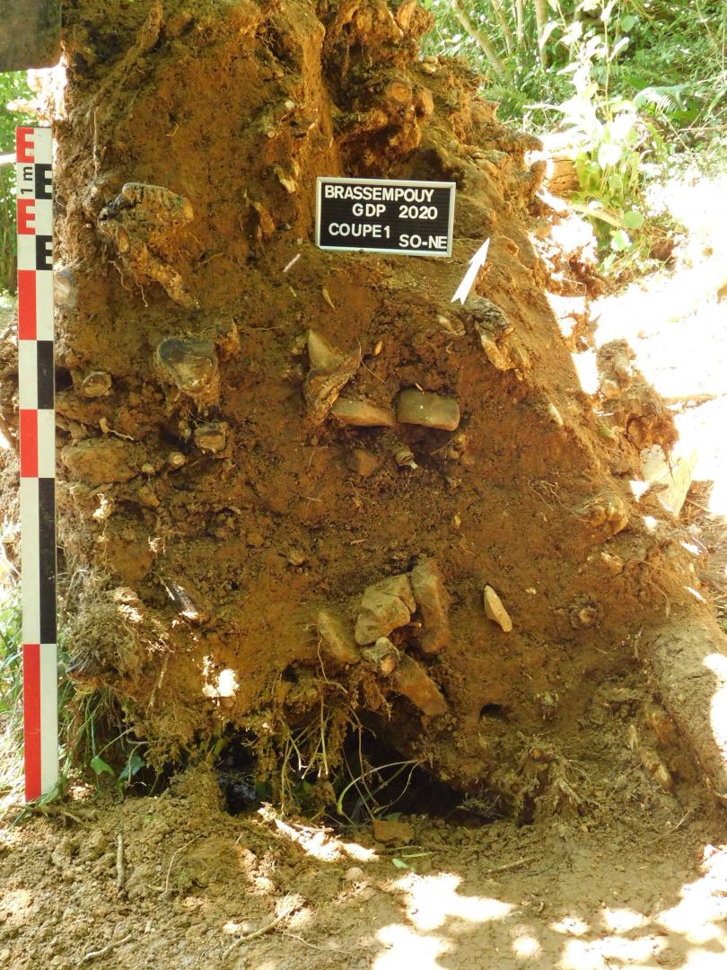 DSCN3186.jpg